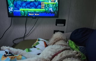 Toy hauler off-road Sunset Park RV  109E 2024