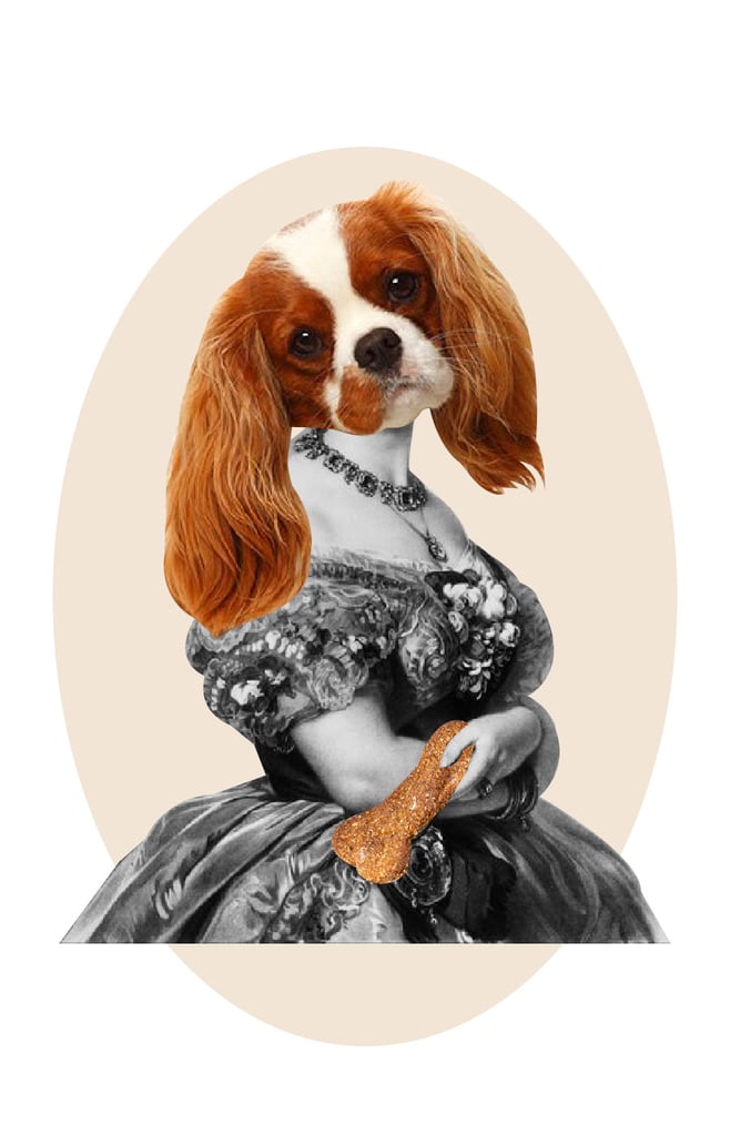 Famous royal dogs in history