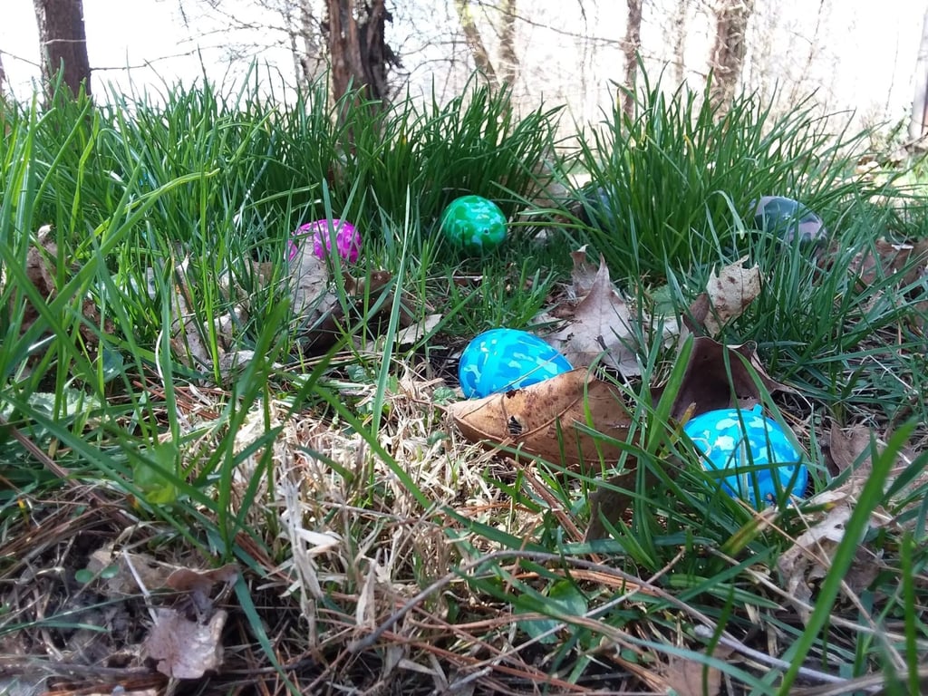 2023 Indianapolis Easter Egg Hunt Guide Indy's Child Magazine