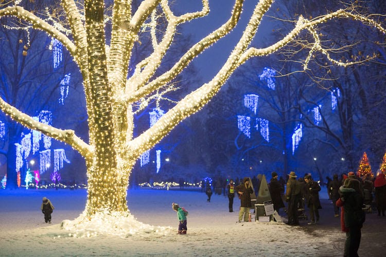Best Spots to See Christmas Light in Indianapolis 2023