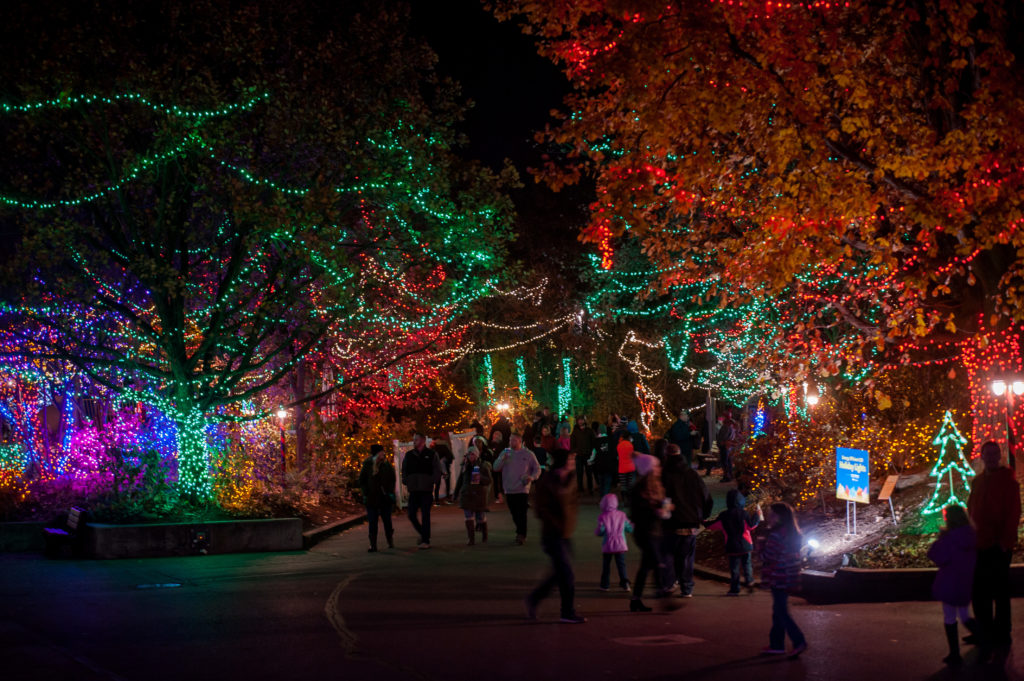 Christmas at the Zoo Indianapolis Zoo Lights