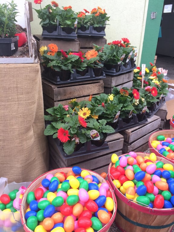 Easter at the Orchard