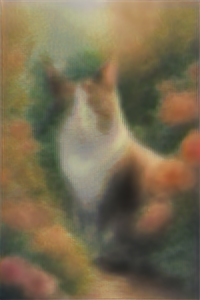 fourth step of diffusion