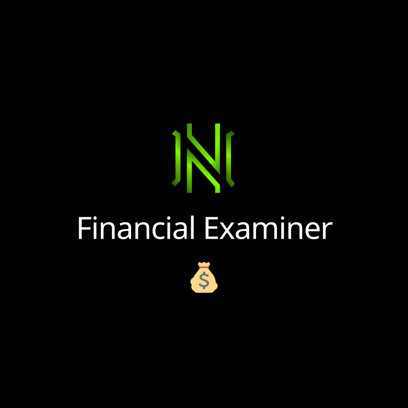 Financial Examiner