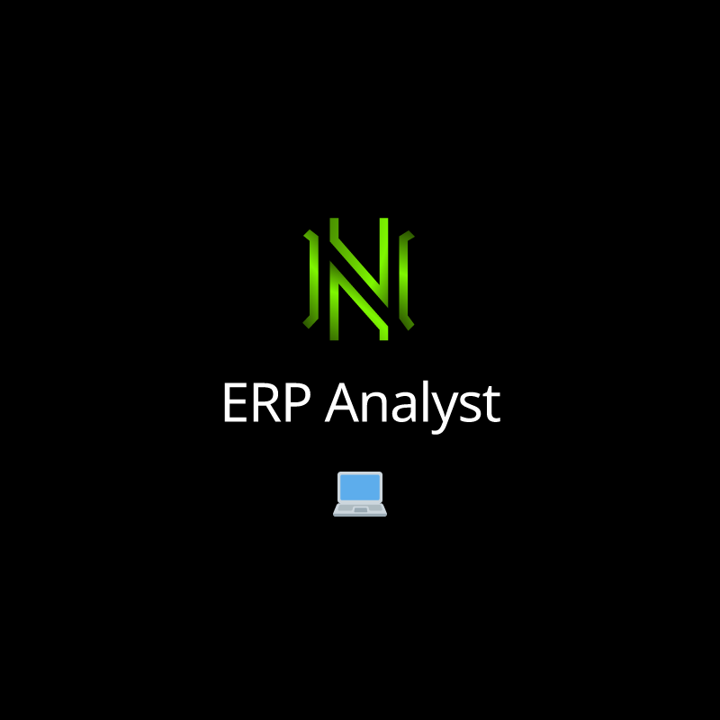 ERP Analyst