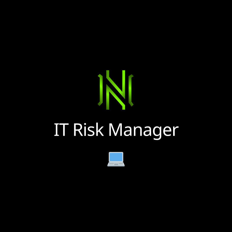 IT Risk Manager