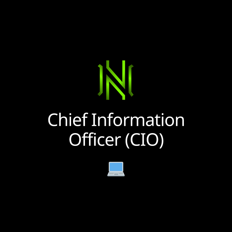 Chief Information Officer (CIO)