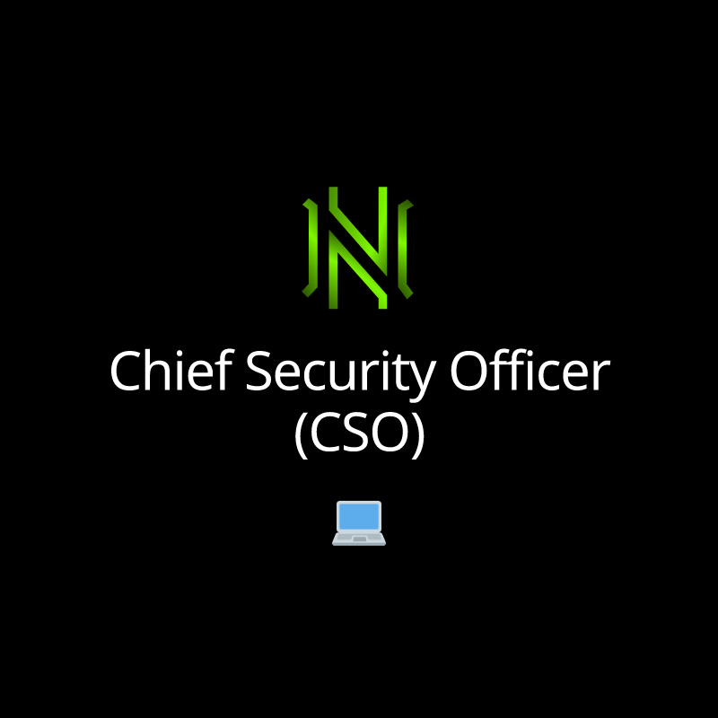 Chief Security Officer (CSO)