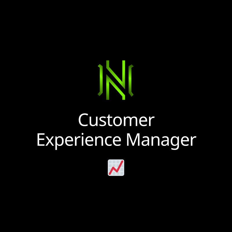 Customer Experience Manager