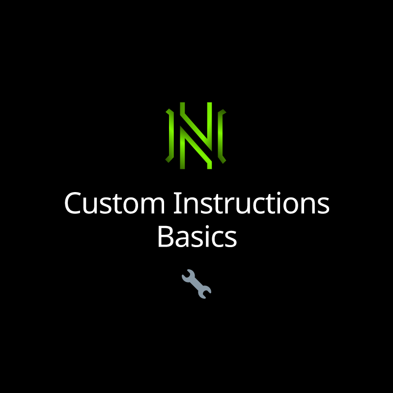Custom Instructions Basics