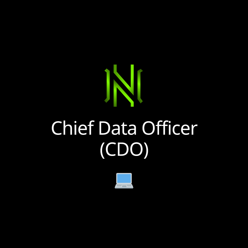 Chief Data Officer (CDO)