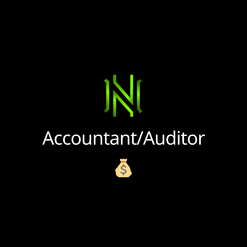 Accountant/Auditor