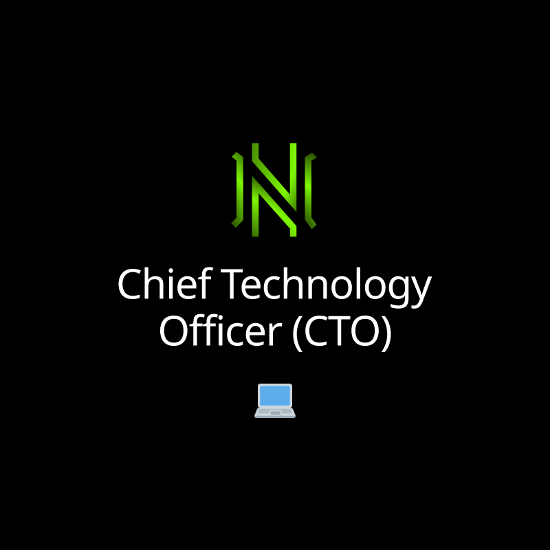 Chief Technology Officer (CTO)