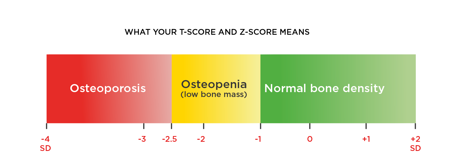 What your T-Score and Z-Score Means