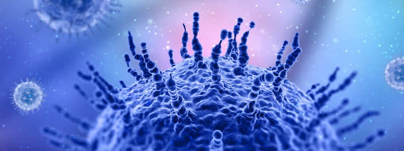 El Virus que Preocupa a China y los Primeros Casos Confirmados en México