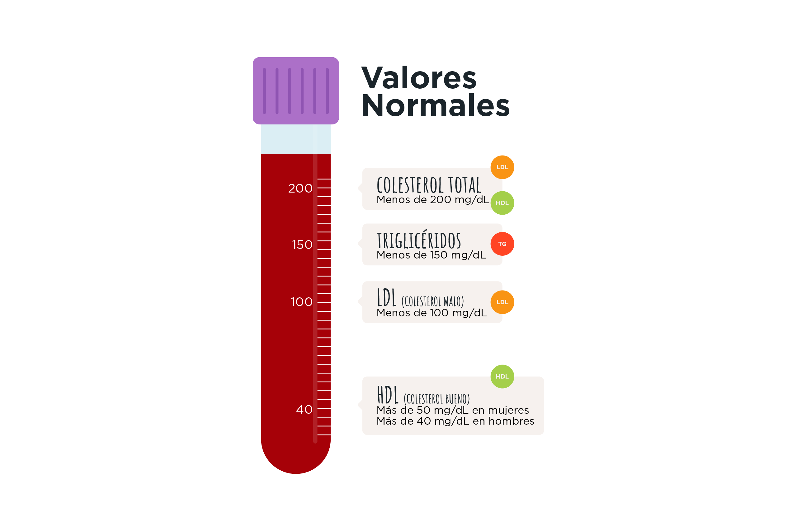 Infografía de valores normales en sangre: colesterol total menor de 200 mg/dL, triglicéridos menores de 150 mg/dL, LDL menor de 100 mg/dL y HDL mayor de 50 mg/dL en mujeres y 40 mg/dL en hombres