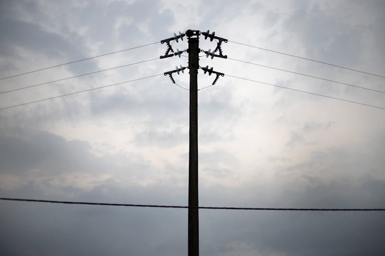 Pay Your Electricity Bill Online Instantly