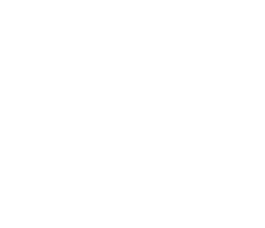 Liquid Detergents