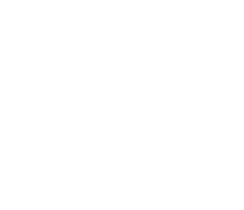 Powder Detergent