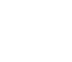 Hand Sanitizer