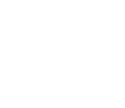 Toilet Cleaner