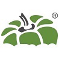 Capsicum Mediaworks - SEO Company In Mumbai