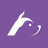 Huskee Digital logo