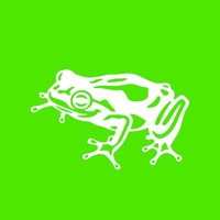 frog logo