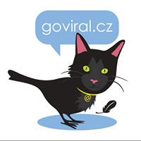 GoViral LLC logo