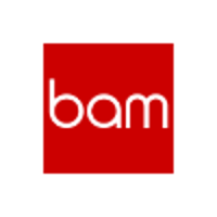 BAM Strategy logo