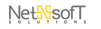 Net Soft Solutions logo