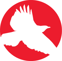 Red Hawk Technologies logo
