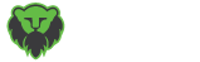 Sage Lion Media