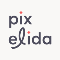 Pixelida Studio