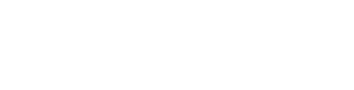 First Option Software Ltd logo