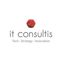 IT Consultis logo