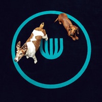 Umbrella Kreatív Műhely Kft.