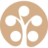 Reelmedia Film Ltd.