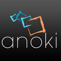 anoki IT logo