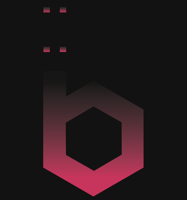 Binary Bits logo