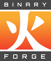 Binary Forge Solutions Ltd