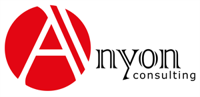 Anyon Consulting logo