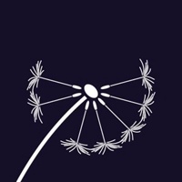 Shamshad Walker Marketing