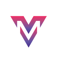 VIDIT MEGHWAL SEO EXPERT logo