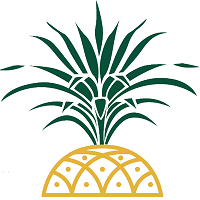 Pineapple Public Relations logo