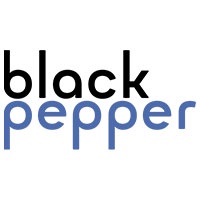 Black Pepper Software Ltd - Out of Business logo