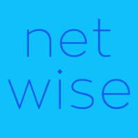 NETWISE DIGITAL MARKETING AGENCY logo