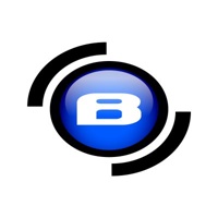 Blue Screen IT Solutions logo