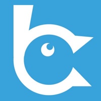Brandshout Web Design Peterborough logo