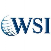 WSI Portugal logo